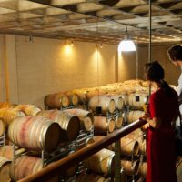 ポルトガルワインのワインツーリズムは魅力満載！その理由を探る！